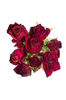 Photo shows a closeup of red roses isolated on a white background.