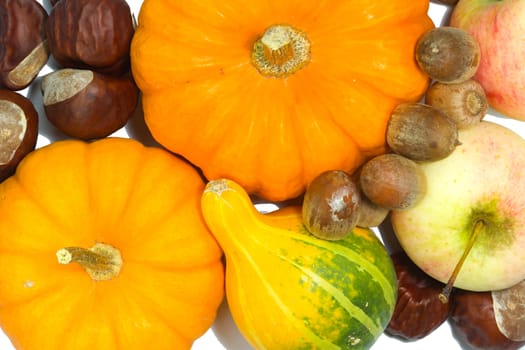 Photo shows a closeup of various pumpkins, nuts and apples on a white background.