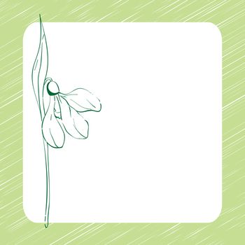 Spring snowdrop greetings card, hand drawn illustration over a blank display with a green frame