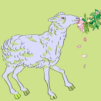 Hand drawn illustration of a sheep eating apple tree flowers, spring greetings card on a green background