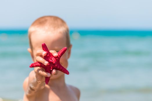 little boy is showing a red starfish near the sea