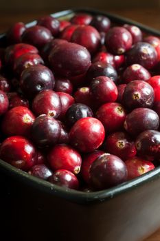 Fresh, raw cranberries in a dark colored bowl.