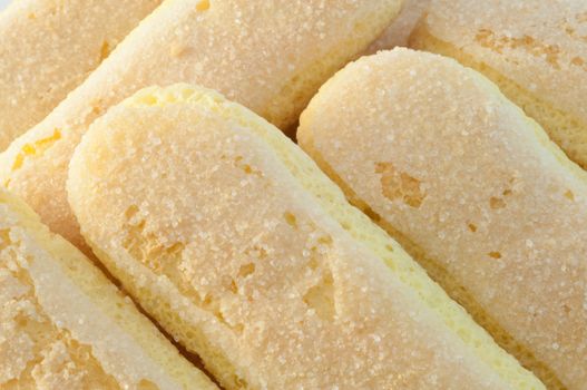 beautiful background of italian ladyfingers cookies