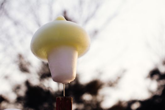 Chinese spun sugar,street food  of China
