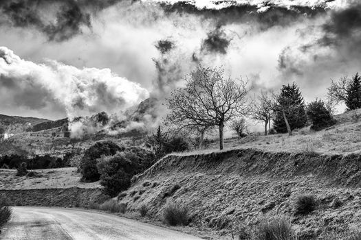 Winter Black and White photo of cloudy dramatic sky with trees