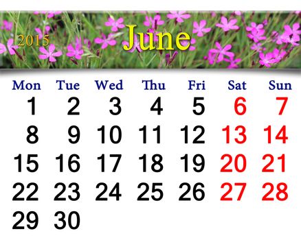 calendar for July of 2015 year with ribbon of wild carnation