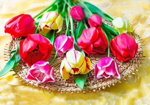 One big beautiful tulip of bright red color against the beautiful draped yellow silk. It is presented by a close up