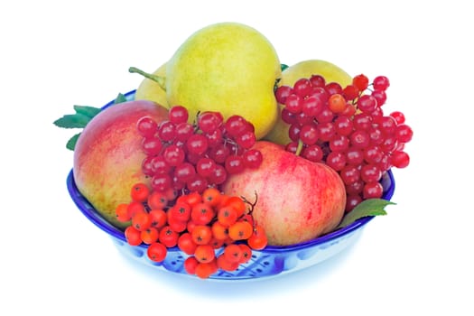 Large ripe apples and pears, red berries and Rowan in a ceramic vase on a white background.