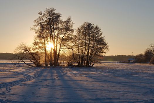 Winter landscape with setting sun