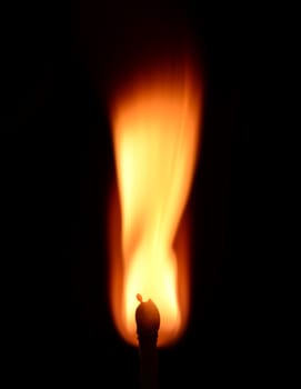 Photo of a match fire isolated on black background. Creative macro photography.