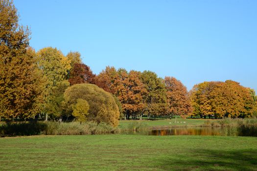 Photo of autumn landscape. Taken in Victory Park. Riga, Latvia.