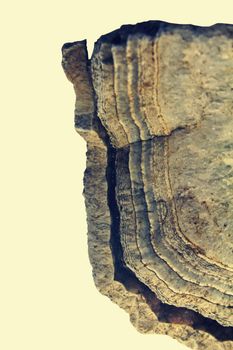 Mineral Agate Geode rock