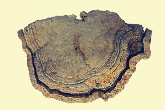 Mineral Agate Geode rock