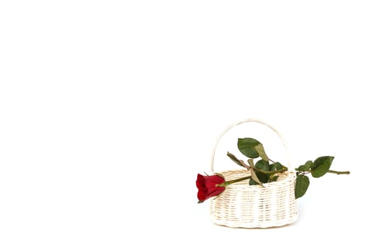 Rose Flower in wooden handmade basket isolated on white background