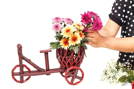 Hand holding Flower in wooden handmade basket isolated on white background