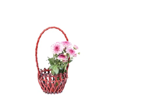 Flower in wooden handmade basket isolated on white background