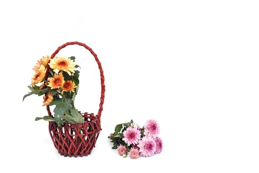 Flower in wooden handmade basket isolated on white background