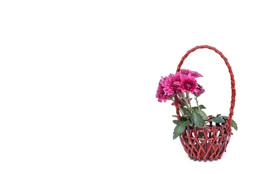 Flower in wooden handmade basket isolated on white background