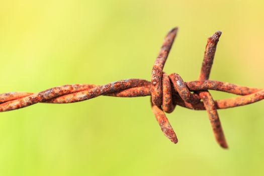 Close up rusty barbed wire