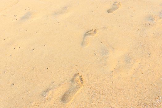 Texture of sand and footprints in the sand