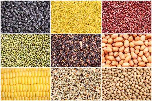 Set of various grain, beans, rice and corn