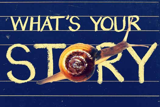 Snail on blackboard written what���s your story question