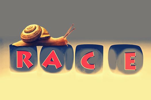 Snail Race, Concept