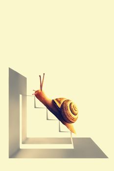 Snail on Staircase