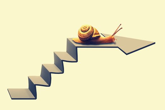 Snail on Staircase