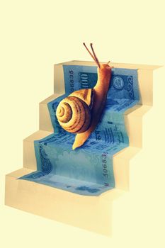 Snail on Staircase