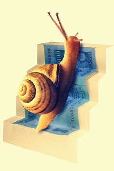 Snail on Staircase