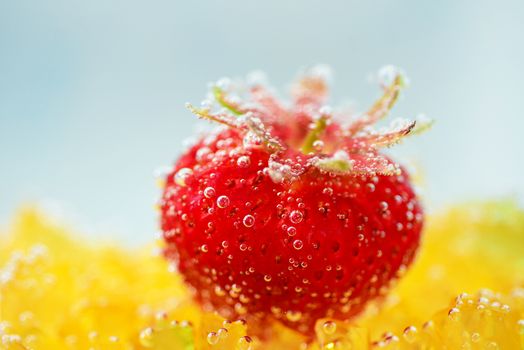 Photo of a strawberry with bubbles underwater on a blue background. Colorful, bright and creative food photography.