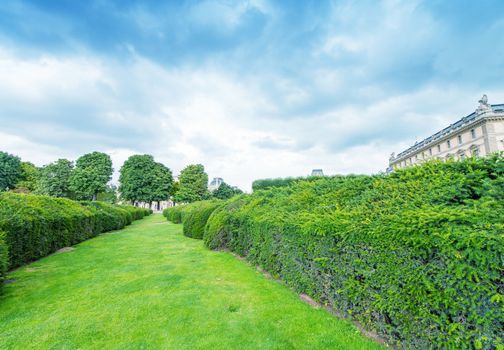 Gardens of Paris in summertime.