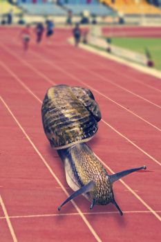 Snail running on track