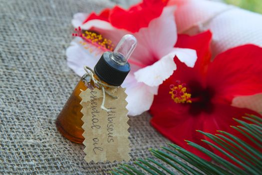 A dropper bottle of hibiscus essential oil. Flowers of hibiscus in the background