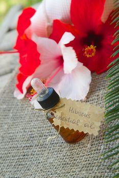 A dropper bottle of hibiscus essential oil. Flowers of hibiscus in the background