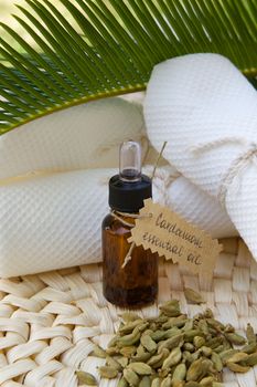 A dropper bottle  of cardamom essential oil