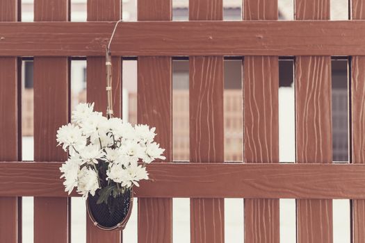 White flower in basket hang on the wall