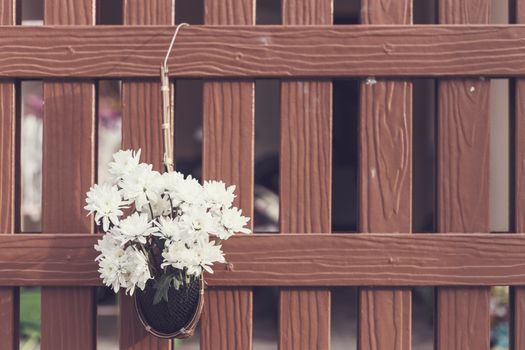 White flower in basket hang on the wall