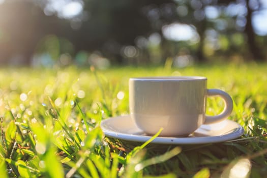 Coffee cup in the garden the morning time