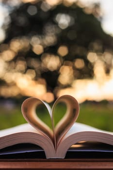 Close up book on table in sunset time