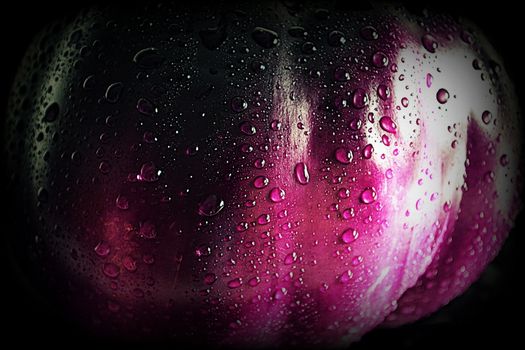 Close up of a juicy plum with water drops on it