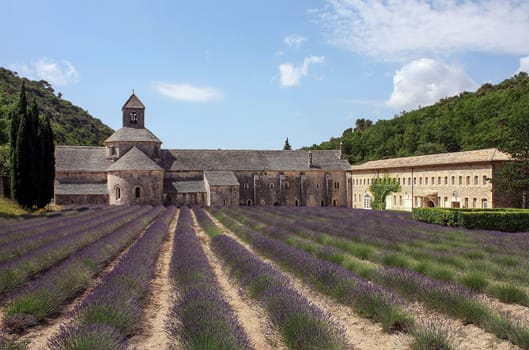 French abbey made of stones with gorgeous field of lavender in the back yard