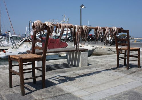 Some octopusses left draining over bar at pier