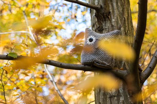 A handmade soft toy owl is placed on a tree in an autumn forest