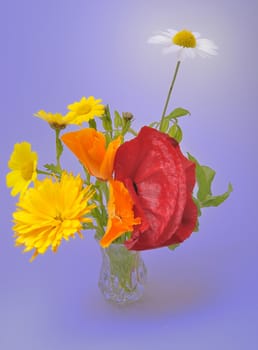 Flowers arranged in a vase.