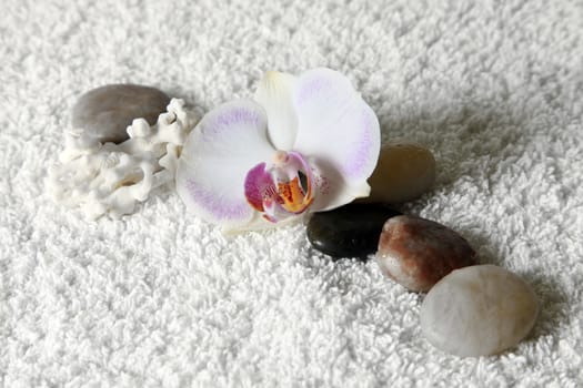 Stones for massage and an orchid on a white towel