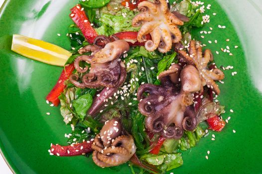 octopus and chuka salad isolated on white background