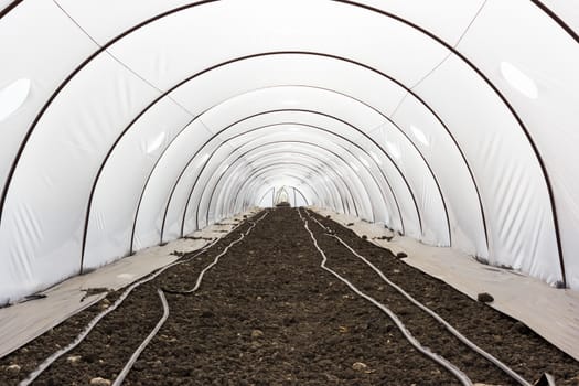 The microclimate created in greenhouses allows maturation of the product