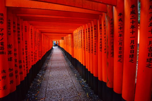 the famous japanese path with red gate called Fushimi Inari